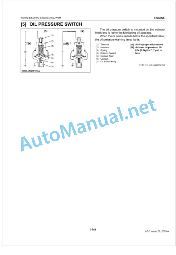 Kubota WG972-E2, DF972-E2, DG972-E2 Gasoline LPG Natural Gas Engine Workshop Manual PDF-3