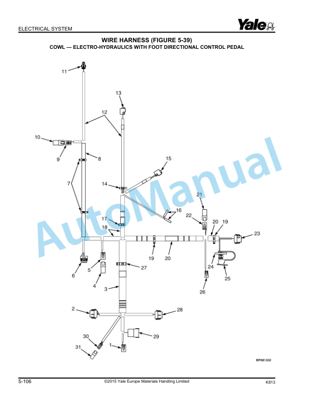 Alternative view of Yale K813 GLP-GDP40VX, GLP-GDP45VX, GLP-GDP50VX, GLP-GDP55VX Parts Manual 550118542